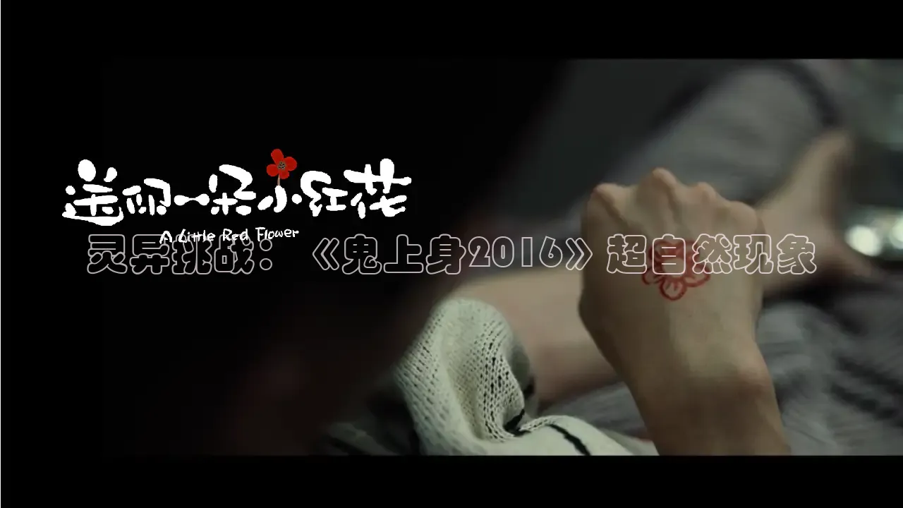 神马影院网